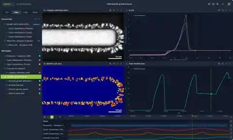 The current-voltage trace the growth analysis is measured against